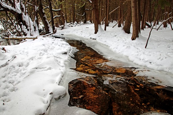 Winter Creek by Deb Oppermann